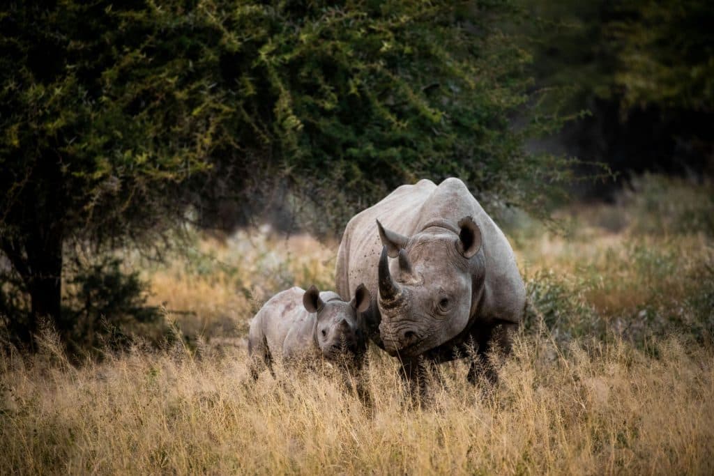 Contact South Africa Tours