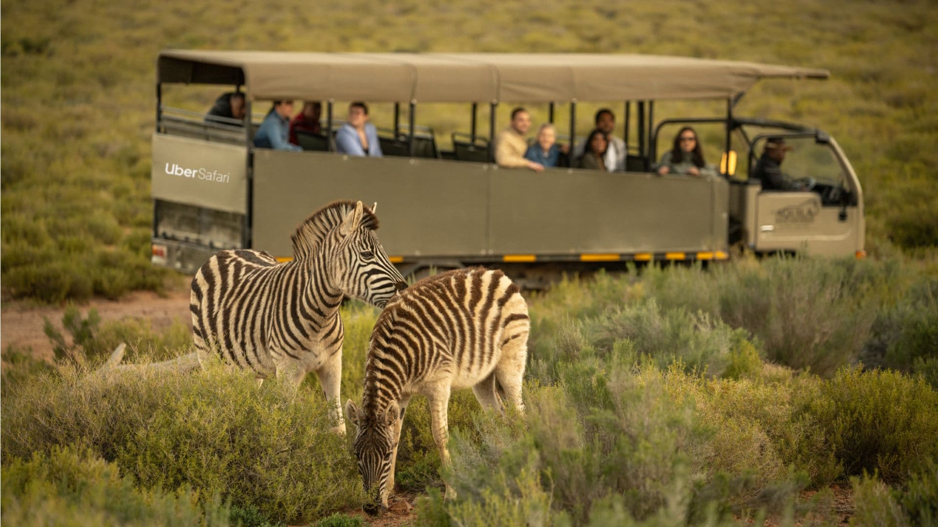 Uber Safari Experience South Africa