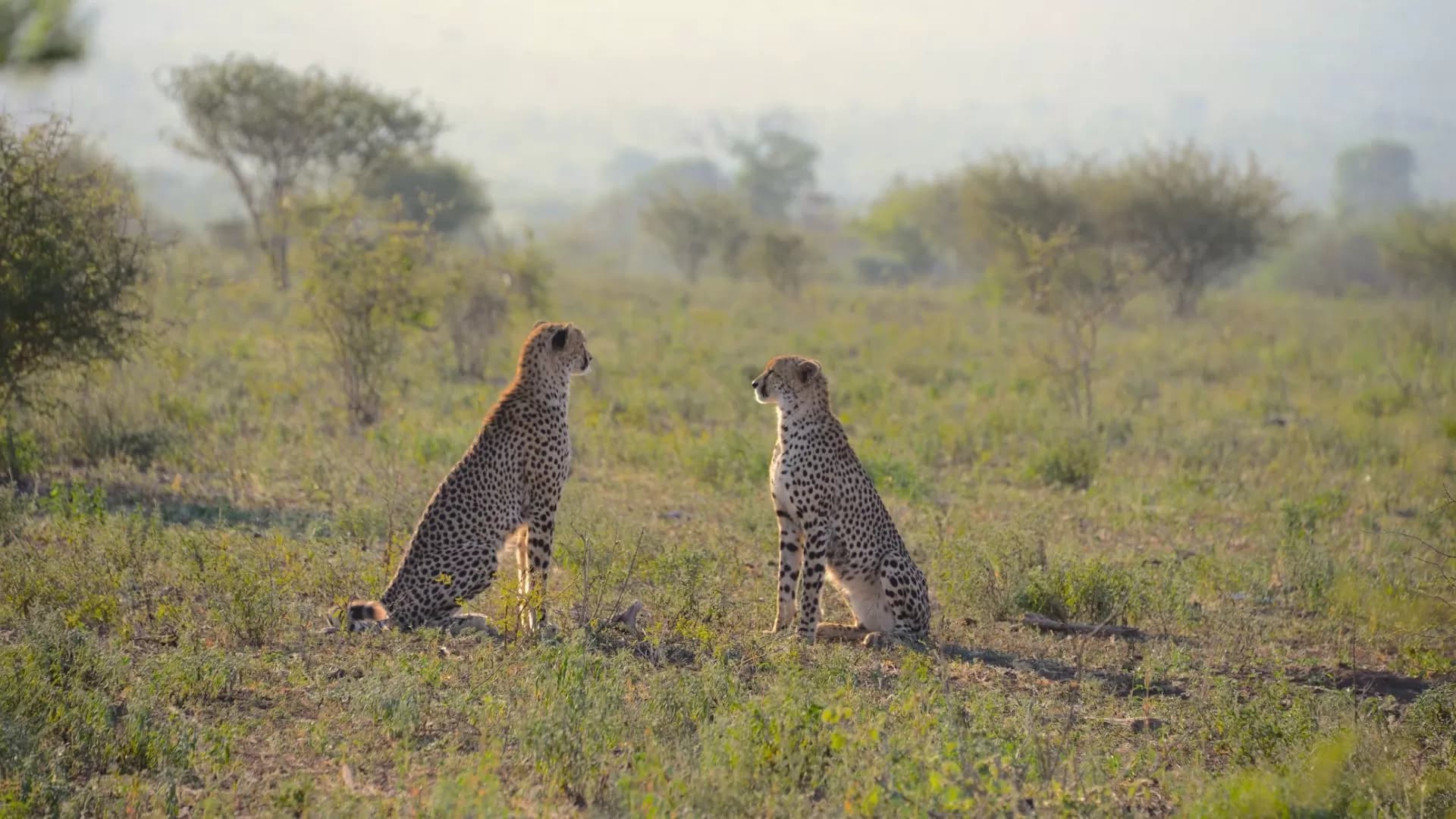 South Africa Tourism and Travel Partners