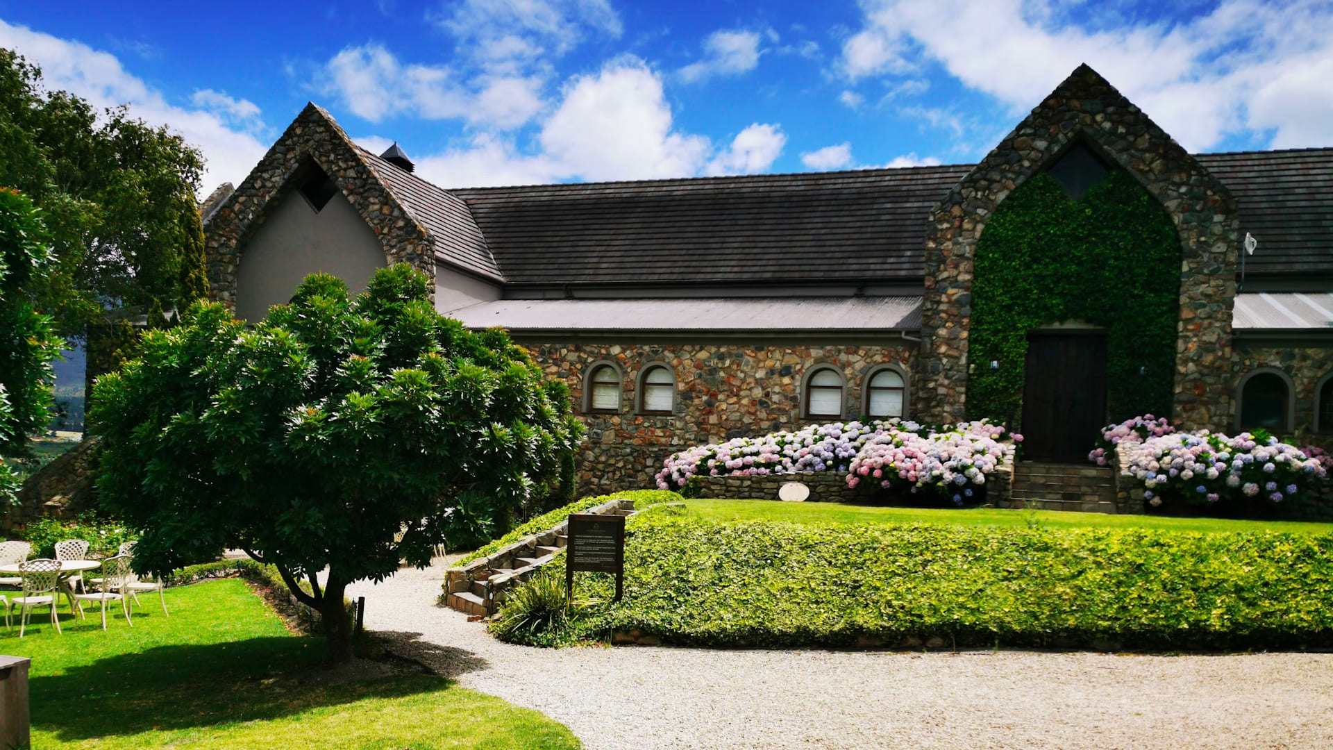 planning-your-hermanus-whale-festival-tour.jpg