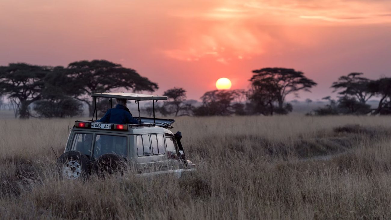 principles-of-ethical-wildlife-tourism-1300x731.jpg