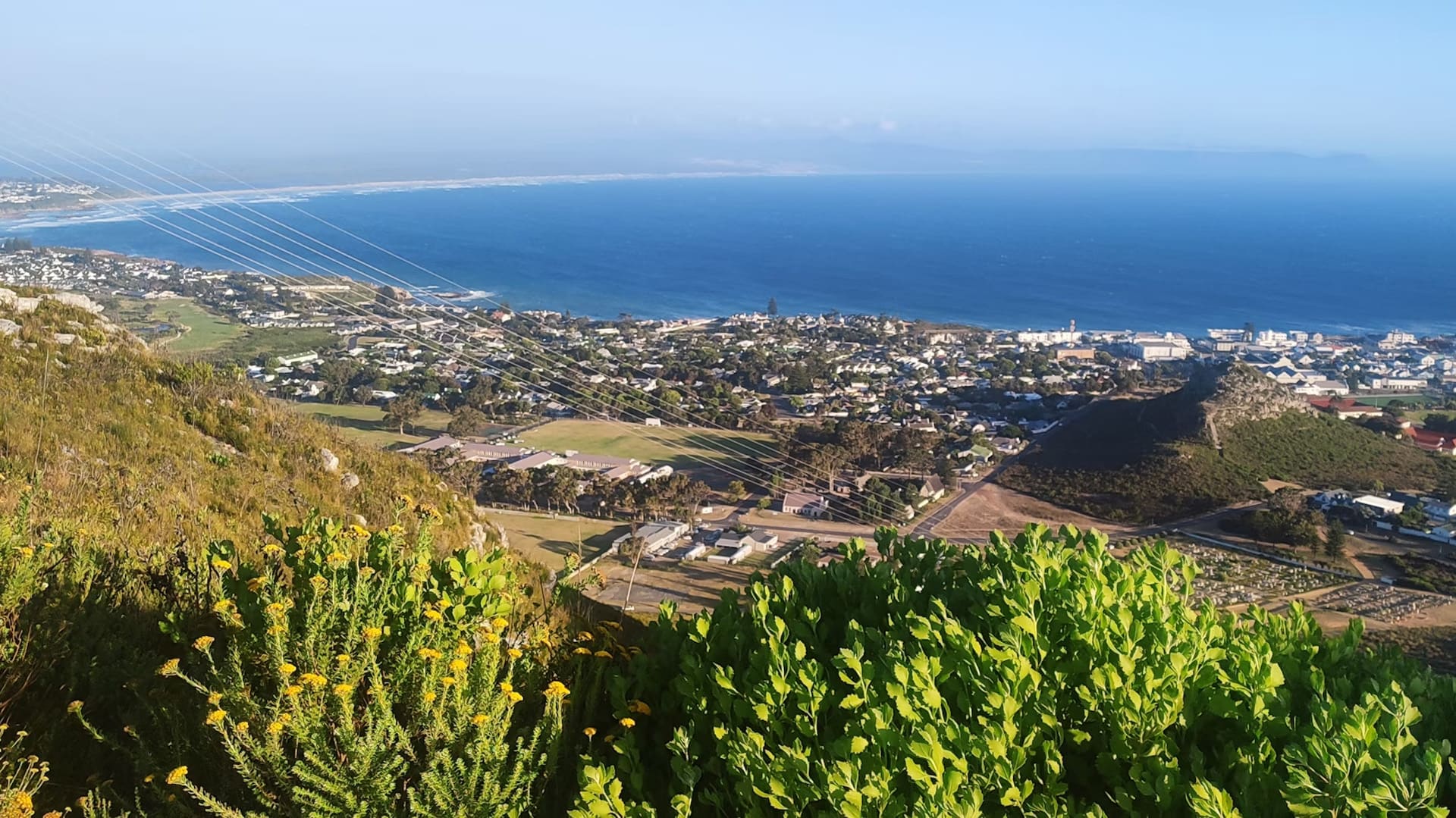 what-makes-the-hermanus-whale-festival-tour-so-special.jpg